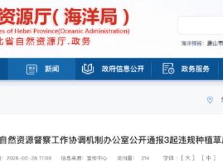 顶风违规占用耕地种植草皮，河北三市被官方通报