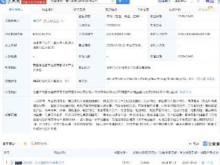 零一汽车成立智行新能源科技公司