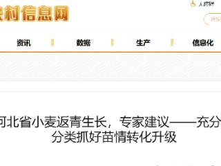降雪有利于河北省小麦返青生长，专家提醒——充分利用降雪降水