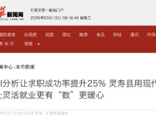 灵寿县：灵活就业AI分析让求职成功率提升25%