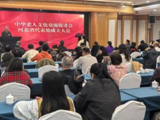 中华老人文化交流促进会河北省代表处正式成立 赋能河北老年事业高质量发展