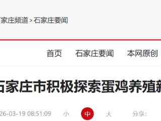 河北石家庄积极探索蛋鸡养殖新路径