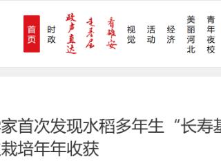 中国科学家首次发现水稻多年生“长寿基因” 有望实现一次栽培年年收获