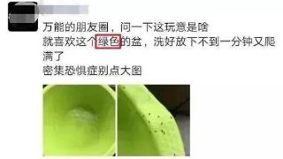 烦人小虫子又来了！春夏季防护建议