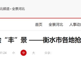 人勤春光好 沃野绘“丰”景 ——衡水市各地抢抓农时做好春耕春管