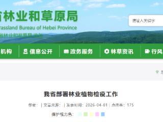 河北省部署林业植物检疫工作