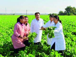 石家庄：科技赋能县域经济高质量发展