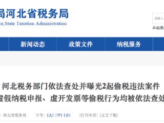 追缴税费款1071.02万元 河北税务部门查处曝光2起偷税违法案件