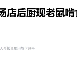 衡水一羊汤店后厨现老鼠啃食大块生肉，当地回应