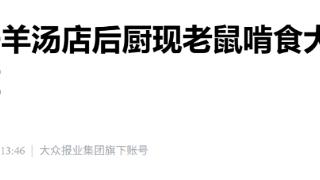 衡水一羊汤店后厨现老鼠啃食大块生肉，当地回应