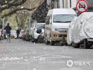 预警地图出炉，邢台、石家庄等地于7日前后进入杨絮盛飞期