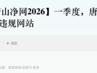 唐山市：2026年第一季度查处33家违法违规网站