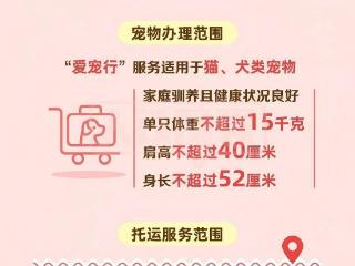 高铁宠物托运今起优化 新增唐山、邯郸东、衡水北等11座车站可办