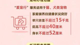 高铁宠物托运今起优化 新增唐山、邯郸东、衡水北等11座车站可办