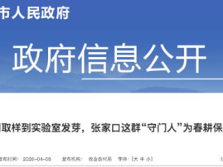 从田间取样到实验室发芽，张家口这群“守门人”为春耕保驾护航