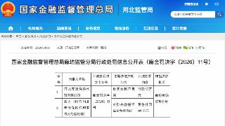 财务数据不实，河北一保险代理公司被罚10万及总经理被追责