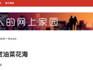 “三免”惠民，日均3万游客共赏油菜花海