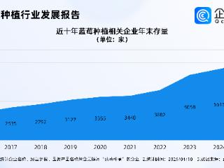 中国蓝莓产量跃居世界第一！国内超6成相关企业聚集西南东北