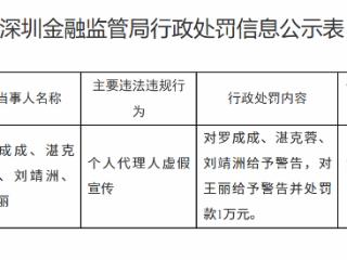 深圳四位代理人因个人代理人虚假宣传被处罚，最高被罚1万元