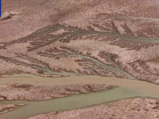 大自然的手笔！河北这里藏了棵“大地之树”