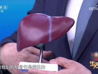 肝不好身体会“说话” 这5招可降低肝癌风险