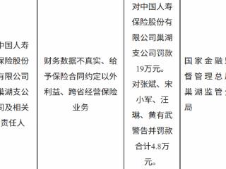 中国人寿保险巢湖支公司因财务数据不真实等被罚款19万元