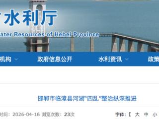 邯郸市临漳县：发现河湖“四乱”问题216个，查处违法采砂案件1起