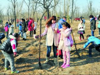 累计完成81.49万亩——石家庄市春季植树造林科学有序推进