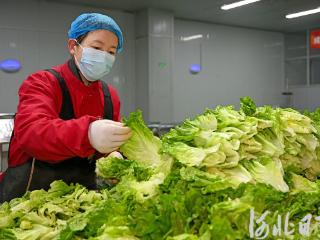 丰富京津“菜篮子”鼓起河北“钱袋子”！“河北净菜”提质扩容