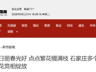 风和日丽春光好 点点繁花缀满枝 石家庄多个公园山楂花竞相绽放