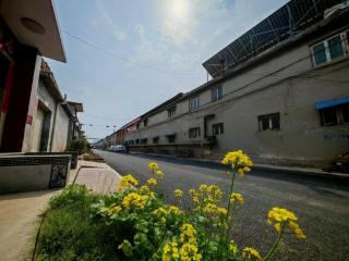 石家庄首季“开门红”：“四好农村路”提质升级工程惠及民生