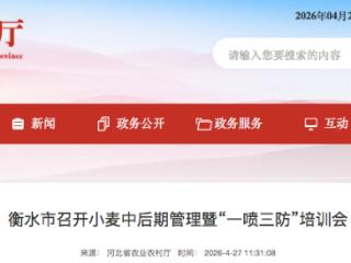 不漏喷、不误喷 衡水市召开小麦中后期管理暨“一喷三防”培训会