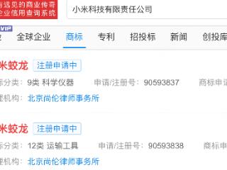 小米注册小米蛟龙商标