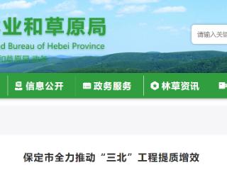 全链条管理：保定市全力推动“三北”工程提质增效