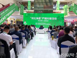 聚焦净菜产业高质量发展！“河北净菜·品质好菜”产销对接活动启幕