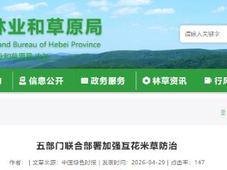 五部门联合部署加强互花米草防治，2030年实现“动态清零”