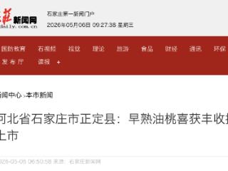 石家庄市正定县：早熟油桃喜获丰收 抢鲜上市