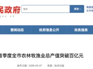 沧州市首季度农林牧渔业总产值突破百亿元
