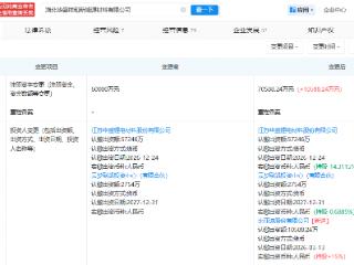 比亚迪入股华盛锂电旗下新能源材料公司，持股15%
