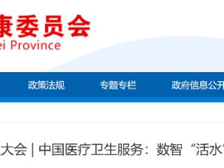 “家门口”的中国医疗卫生服务：数智“活水”润“良田”