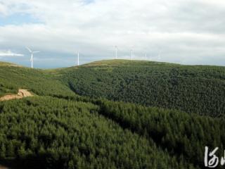 截至今年4月底，河北累计完成“三北”工程建设任务1397万亩