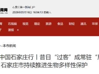 美丽中国石家庄行丨昔日“过客”成常驻“居民” 石家庄市持续推进生物多样性保护