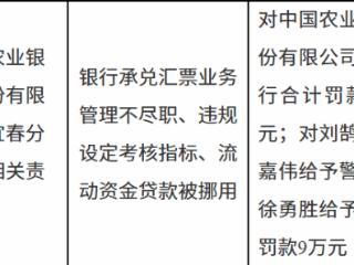 中国农业银行宜春分行因银行承兑汇票业务管理不尽职等被罚款105万元