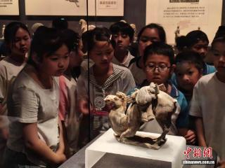 为一个馆赴一座城，河北小众博物馆频“出圈”