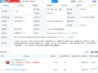*ST中迪等成立天微电子公司，含集成电路芯片业务