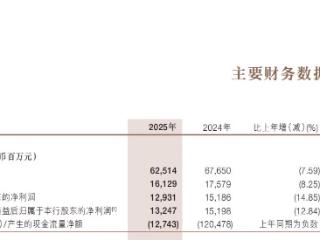 利润跌幅是营收两倍，拨备逼近红线：浙商银行2025年报的警示信号