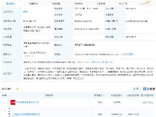 隆基绿能成立源储未来新能源公司