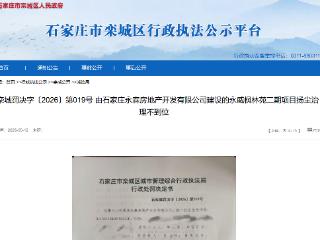 扬尘治理不到位，永威枫林苑二期项目被罚款3万元