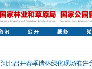 截至4月底已完成65.29万亩！河北造林取得显著成效