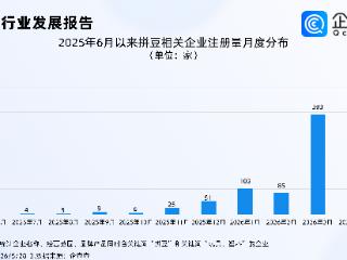 年轻人沉迷拼豆背后：超9成拼豆相关企业成立于1年内，今年注册暴涨